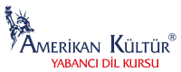 AMERİKAN KÜLTÜR