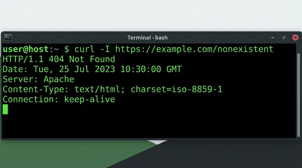 curl komutu çıktısında HTTP 404 durum kodunu gösteren terminal ekran görüntüsü.