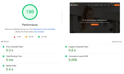 Maksimum Pagespeed Değeri